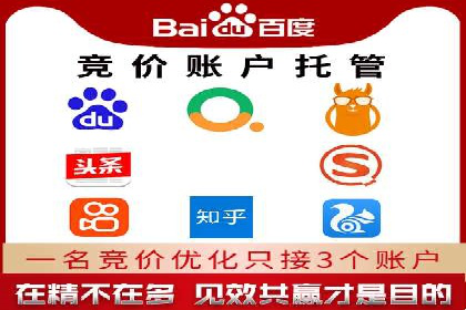 SEM竞价优化策略：成功案例解析
